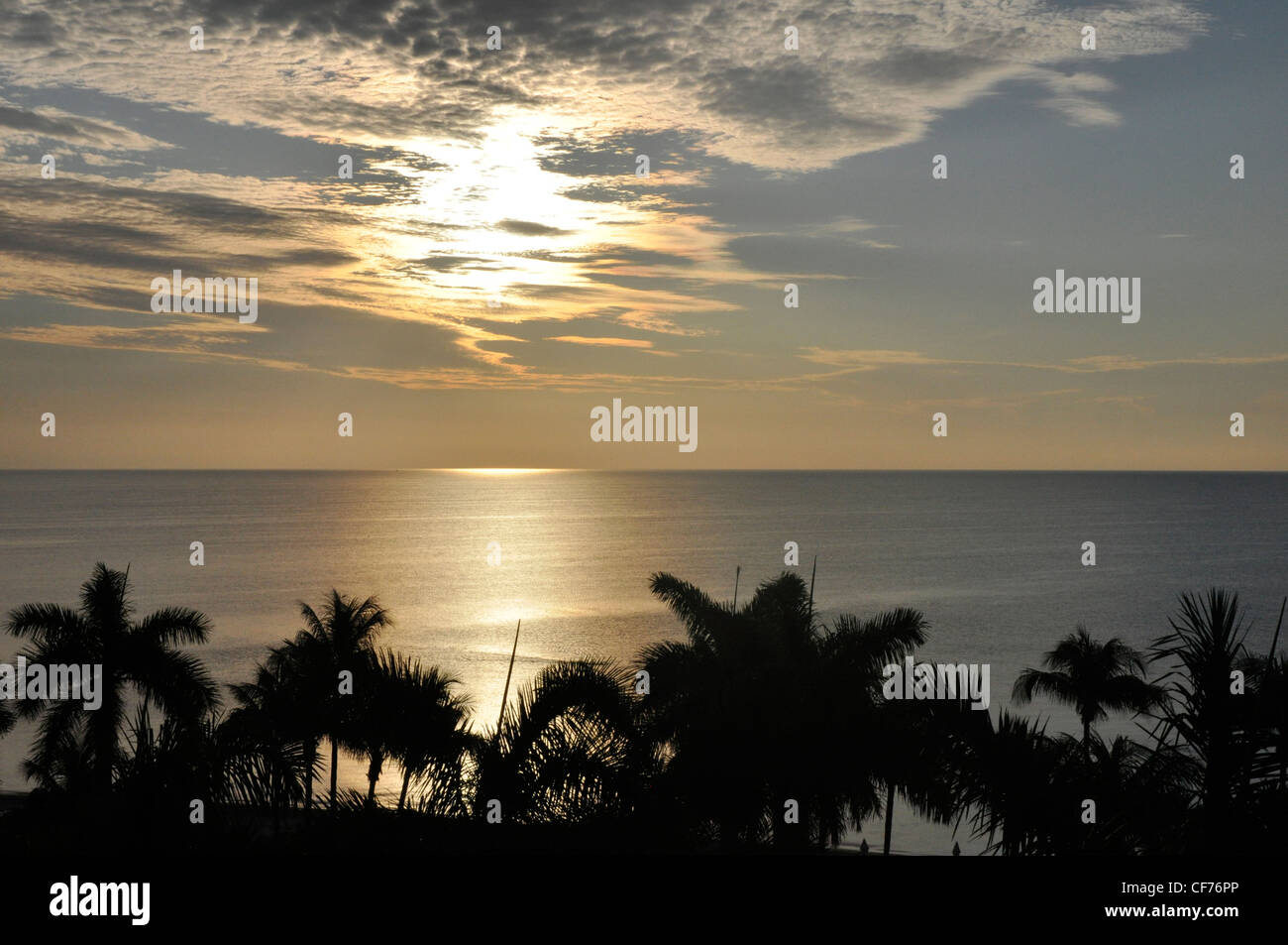 Summer evening Sun clouds drama seascape palms in silhouette Stock Photo