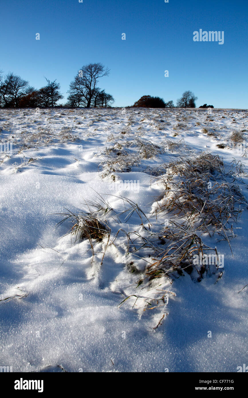 Frozen snow covered meadow in Derbyshire. Stock Photo