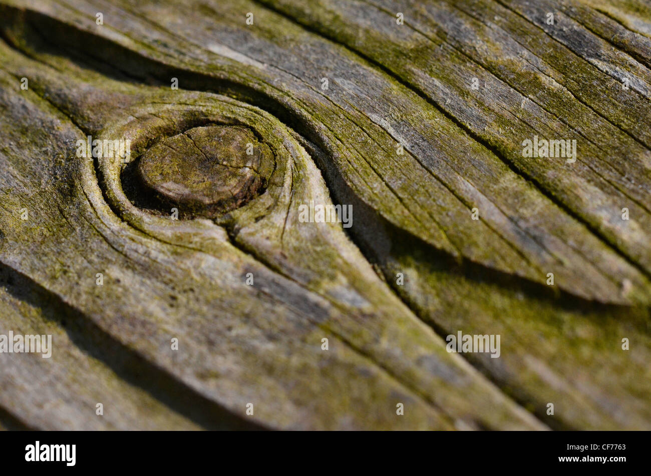 Weathered farm gate - old wood texture. Stock Photo