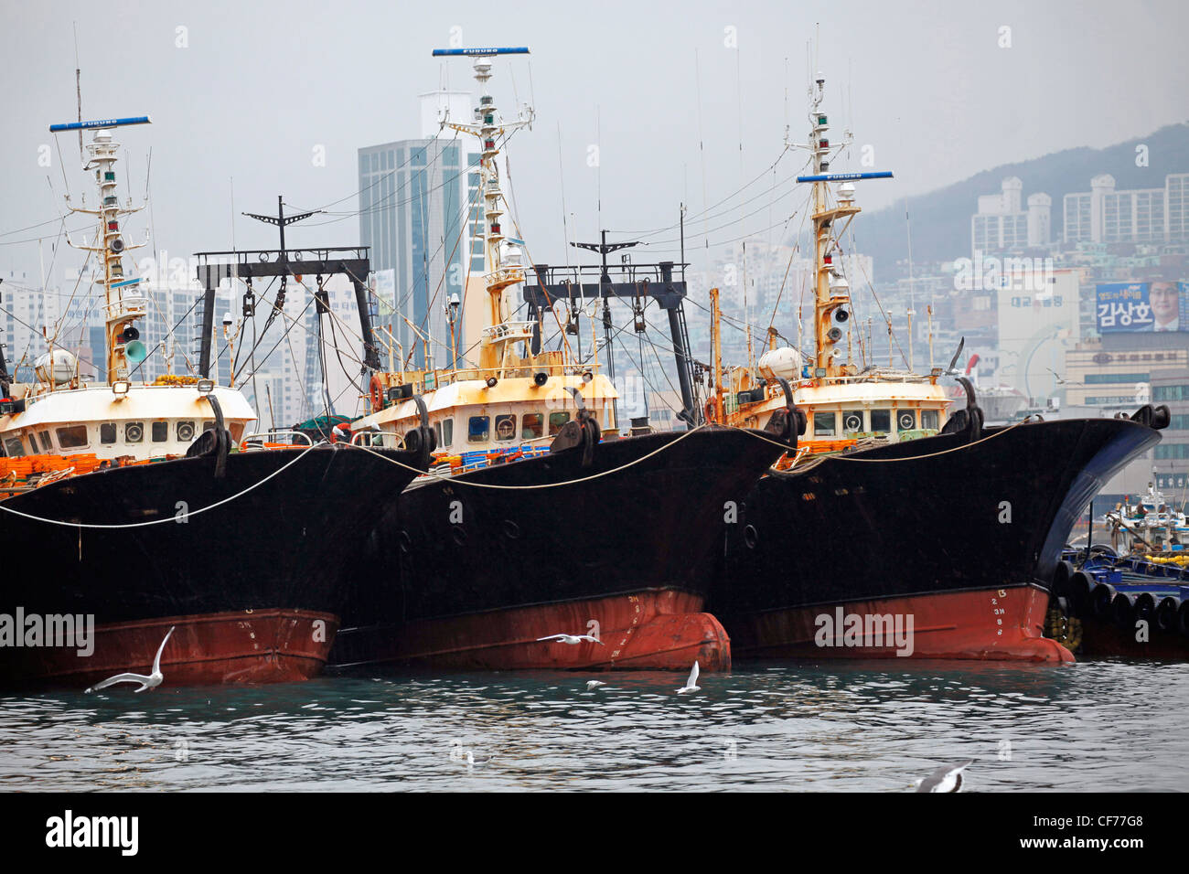 South korea busan fishing boats hi-res stock photography and images - Alamy