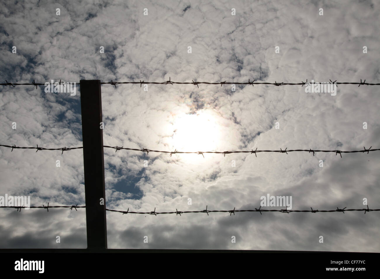 Szene mit Stacheldrahtzaun in diffusem Licht, Scene with diffuse light and barbed wire fence Stock Photo