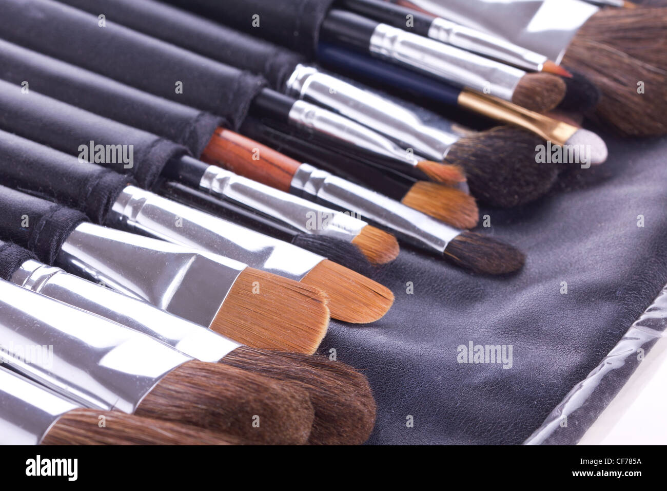 Professional makeup brushes in leather case Stock Photo Alamy