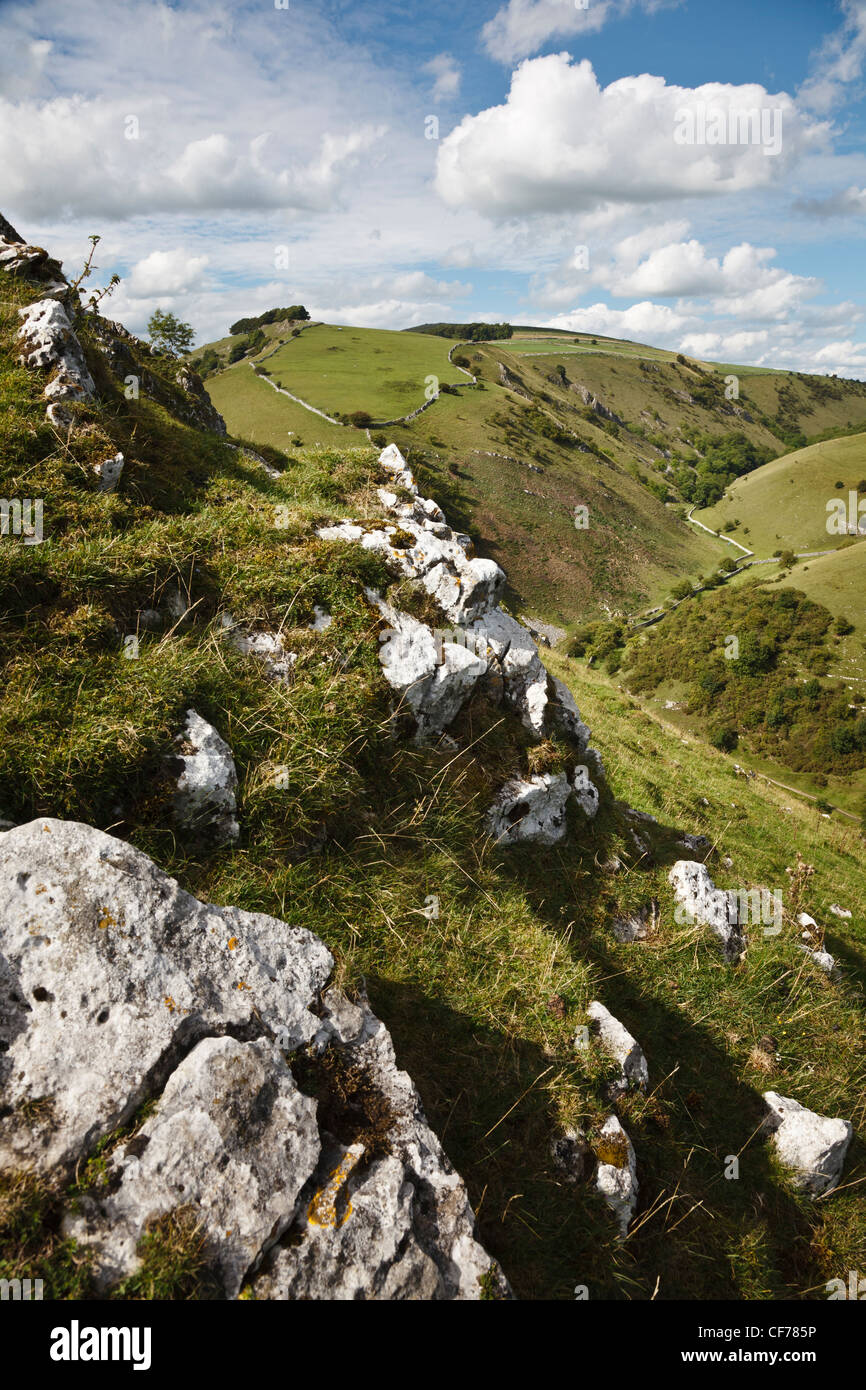 Wolfscote Dale and Biggin Dale from Gipsy Bank, Dovedale, Peak District National Park, England. Stock Photo