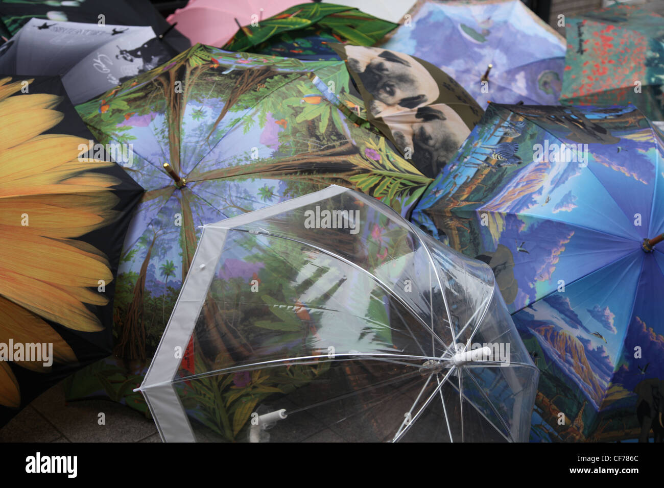 Bunte Regenschirme, Colorful Umbrellas Stock Photo