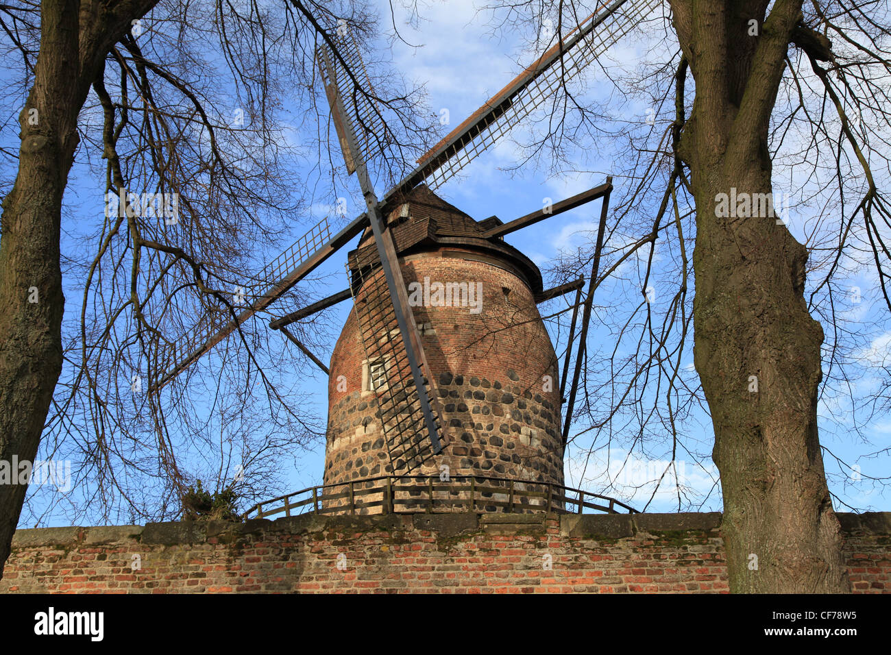Windmuehle in Zons Stock Photo