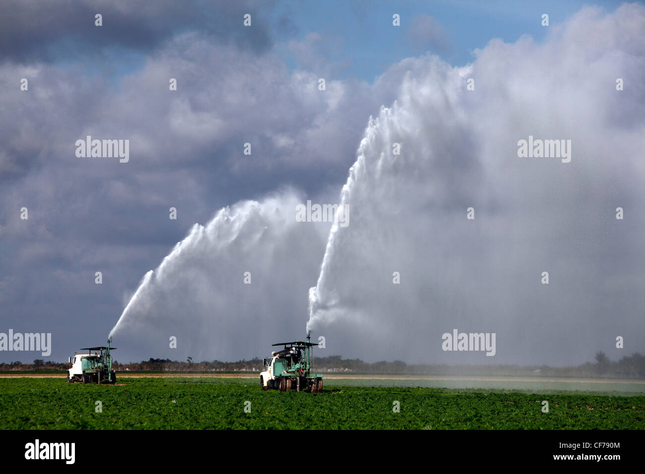 Field irrigation, Homestead, Florida Stock Photo Alamy