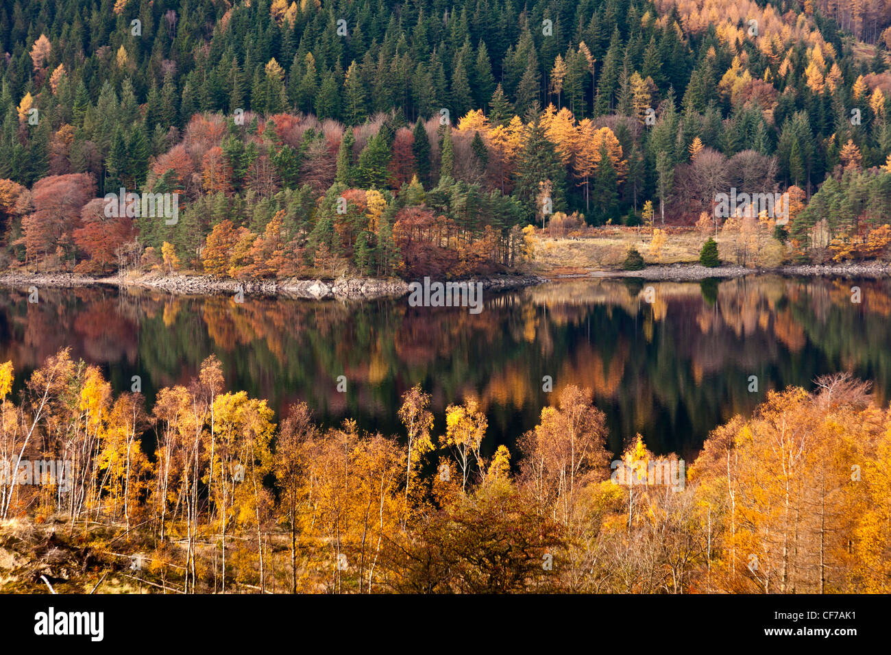 autumn colors reflected in Thirlmere  reservoir. Stock Photo