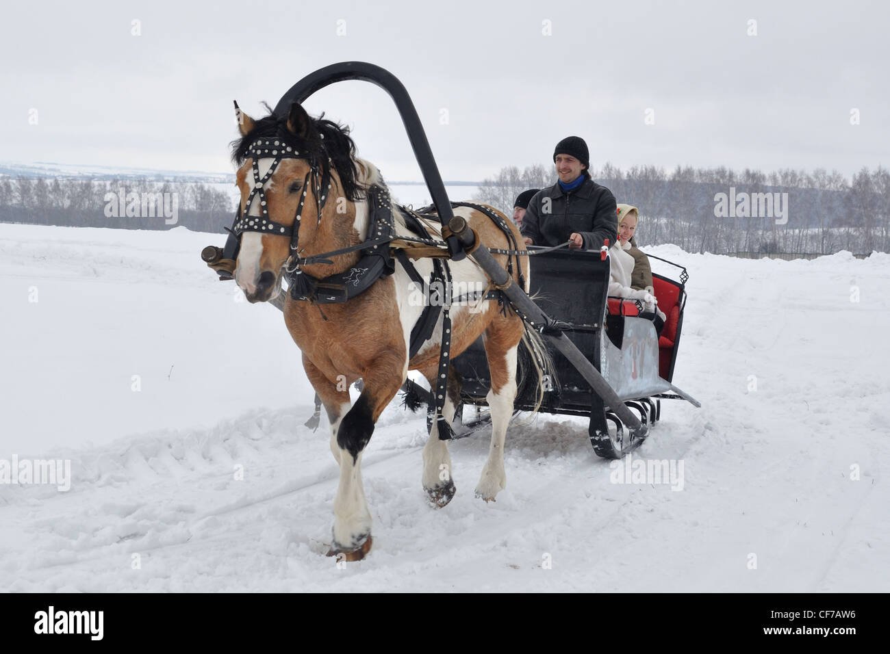 Horse carriage snow hi-res stock photography and images - Alamy
