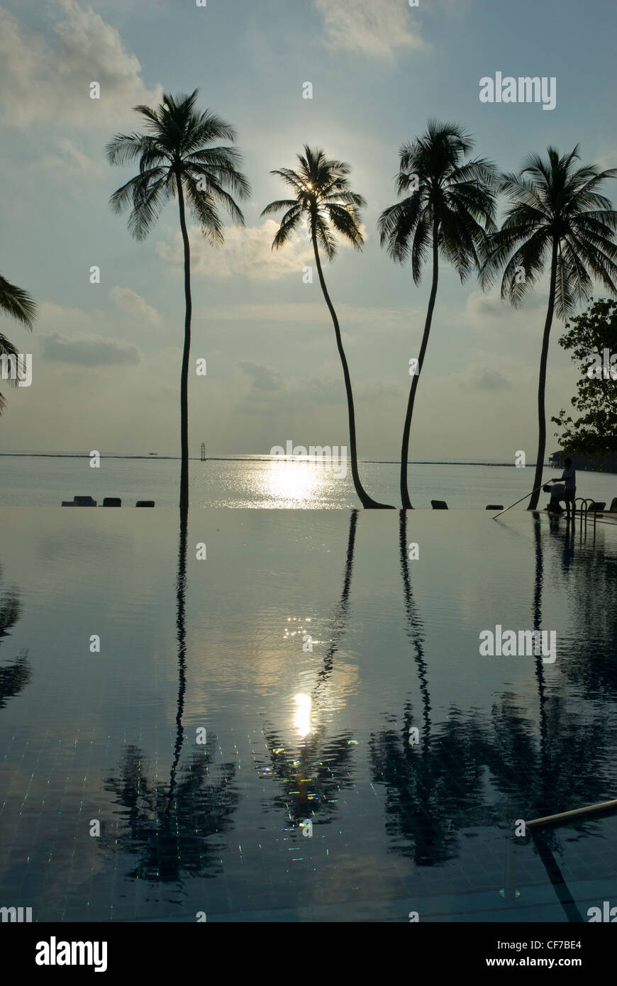 infinity pool on the island of Meeru Stock Photo