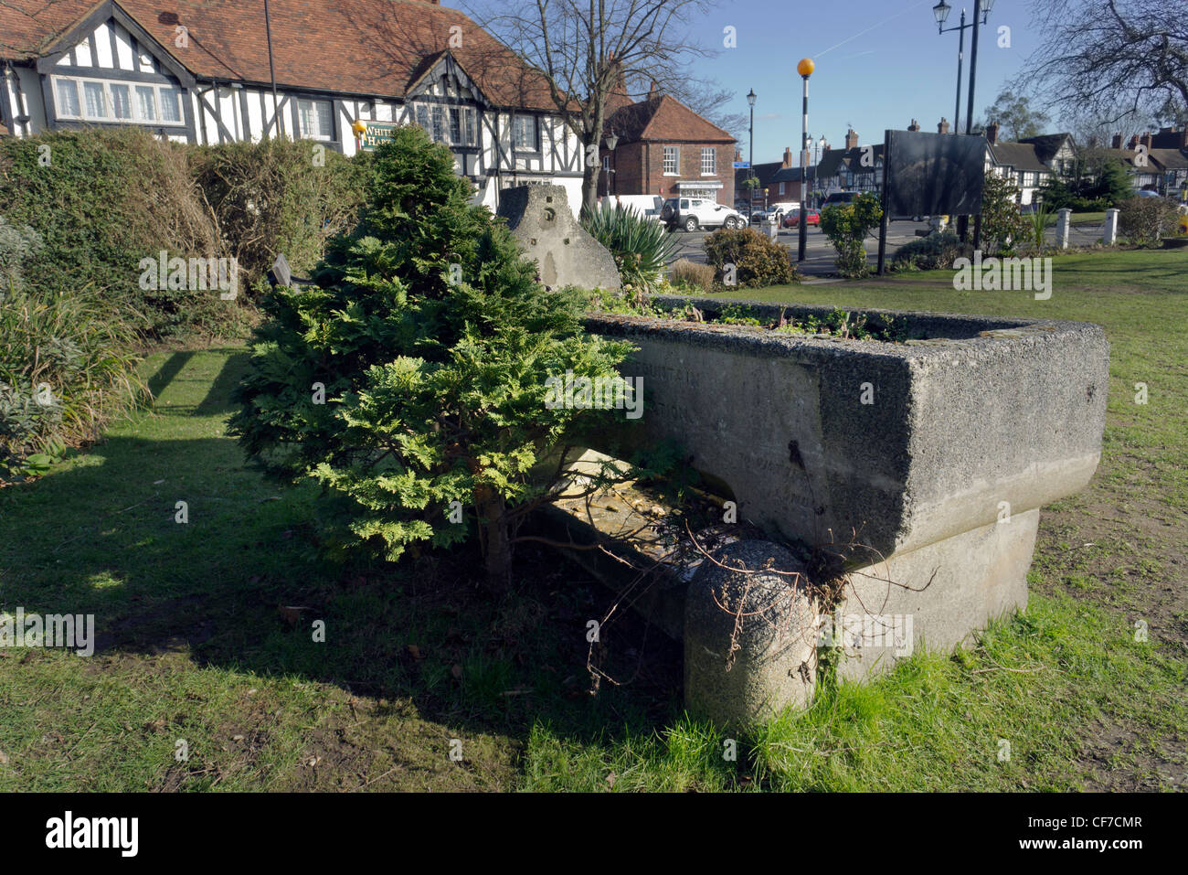 Plants growing out of an old disused concrete horse trough in public gardens old town Beaconsfield Bucks UK Stock Photo