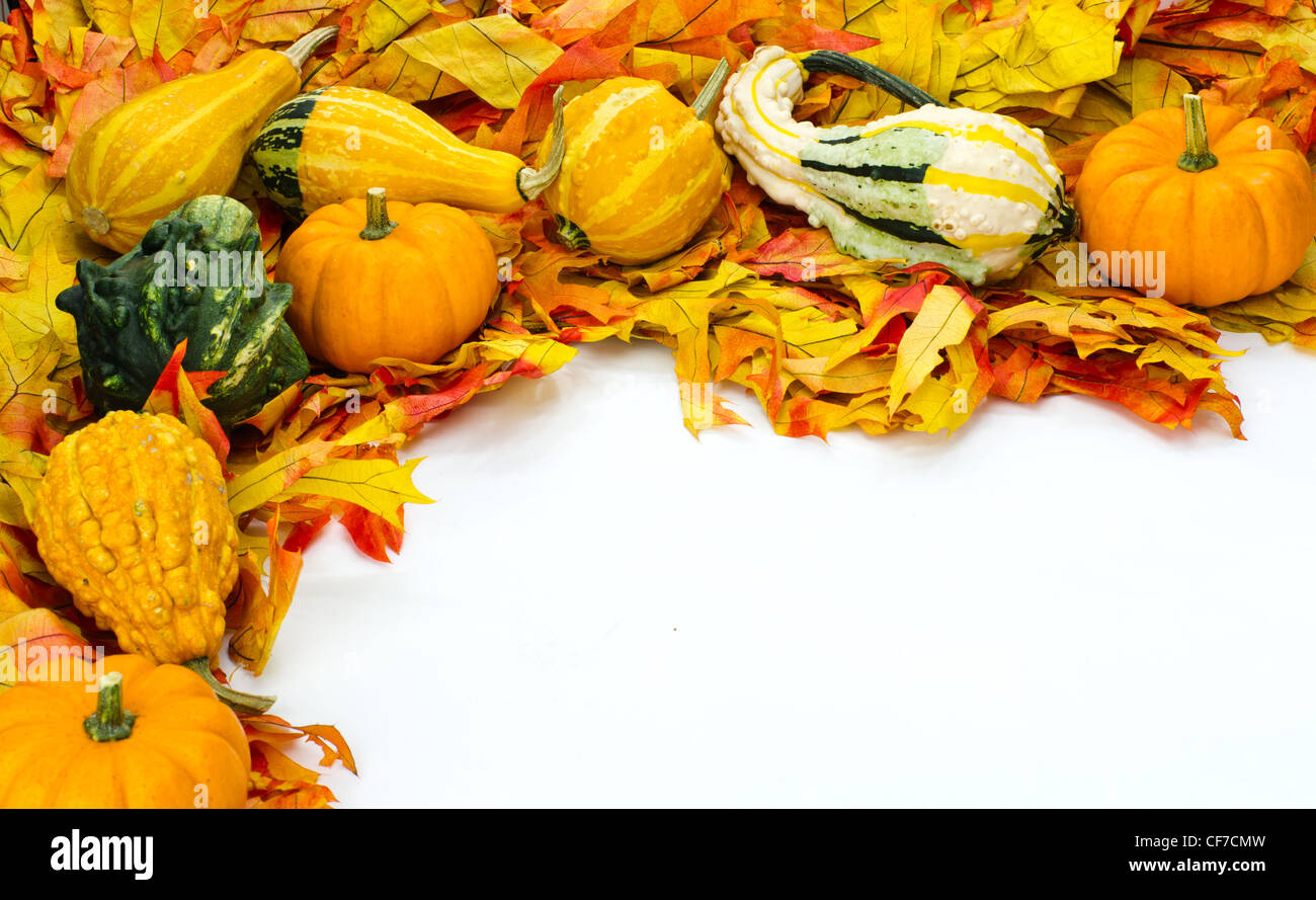 Fall arrangement with gourds pumpkins and bright leaves Stock Photo - Alamy