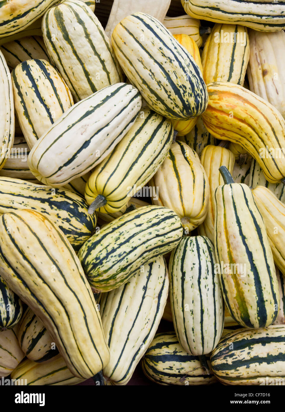 Fresh Delicata squash ready for sale at the farmers market Stock Photo