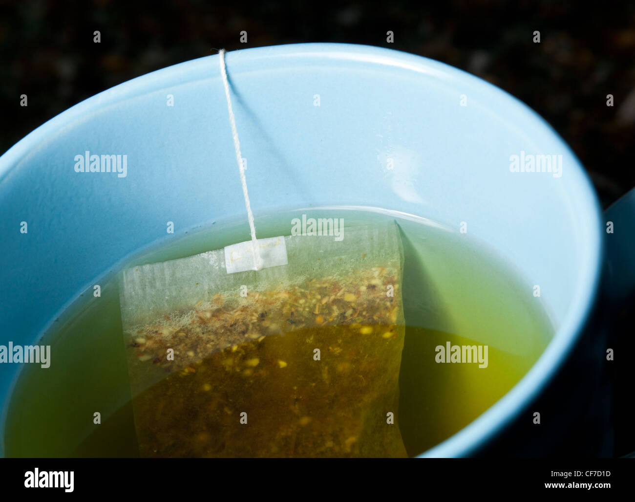 Macro of a green tea teabag brewing in hot water in a blue mug on kitchen worktop Stock Photo