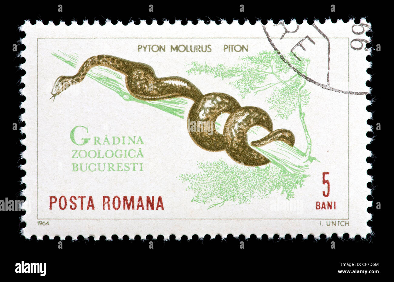 Postage stamp from Romania depicting a python (Python Molurus), issued ...