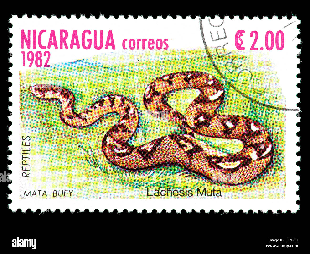 Postage stamp from Nicaragua depicting Bushmaster snake (Lachesis muta) Stock Photo