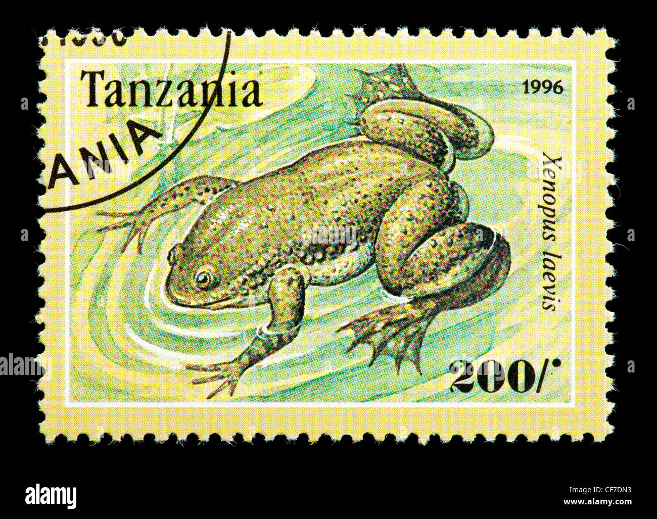 Postage stamp from Tanzania depicting an African clawed frog frog (Xenopus laevis). Stock Photo