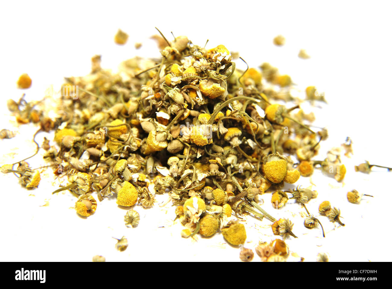 dry,dried,chamomile,tea,herb,herbal,isolated,daisy Stock Photo