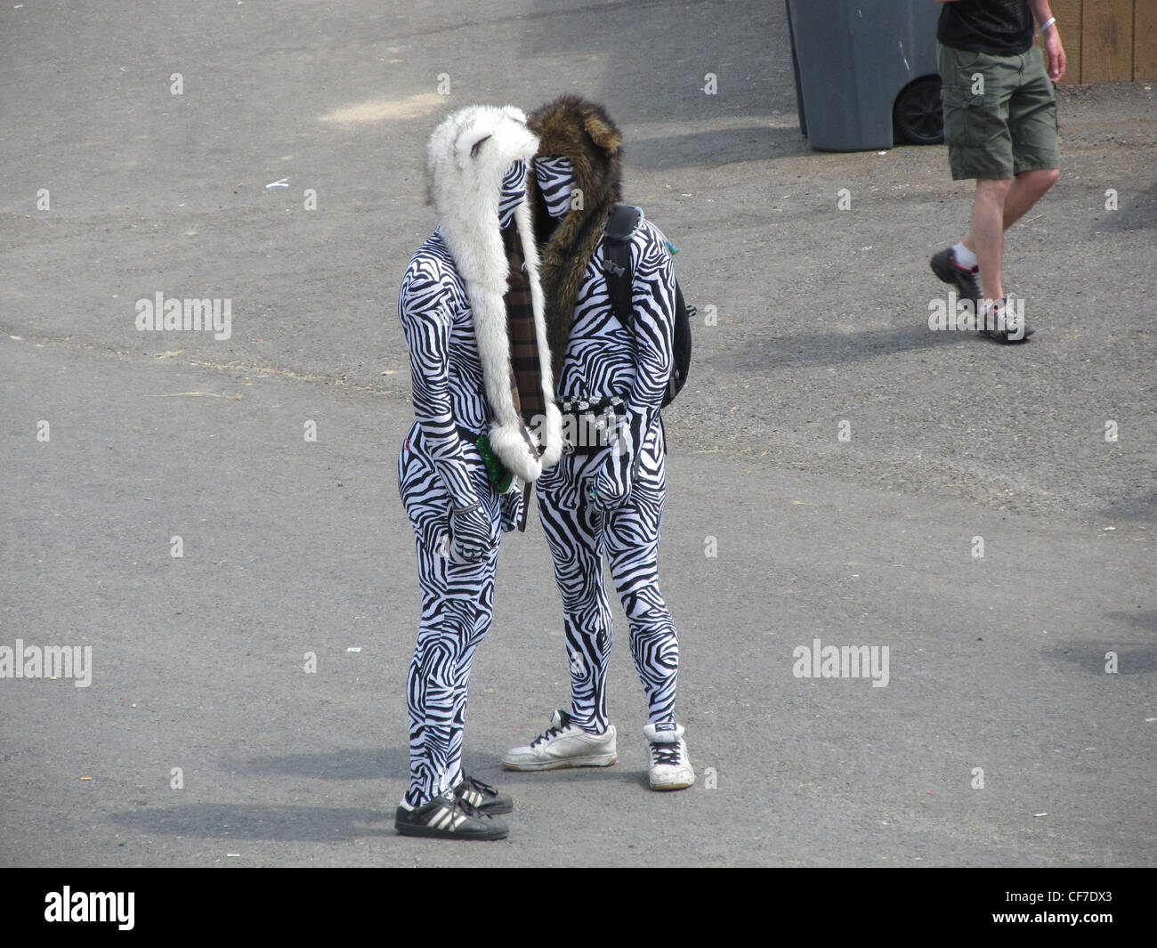 Two men wearing zebra stripe costumes at Sasquatch Music Festival Stock