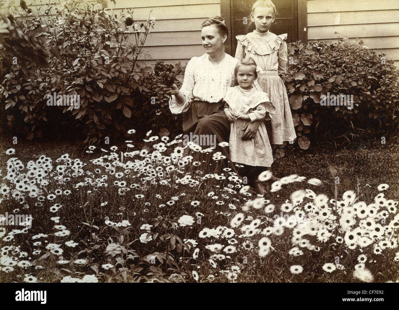 Woman and daughters posing next to flowers during the late 1800s or early 1900s mother motherhood family wooden house Stock Photo