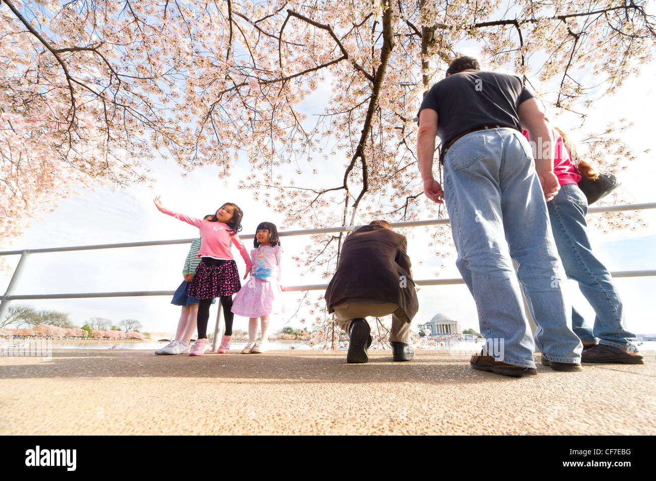 Three little girls posing under pink cherry blossoms with Jefferson Memorial. National Cherry Blossom Festival Washington DC D C Stock Photo