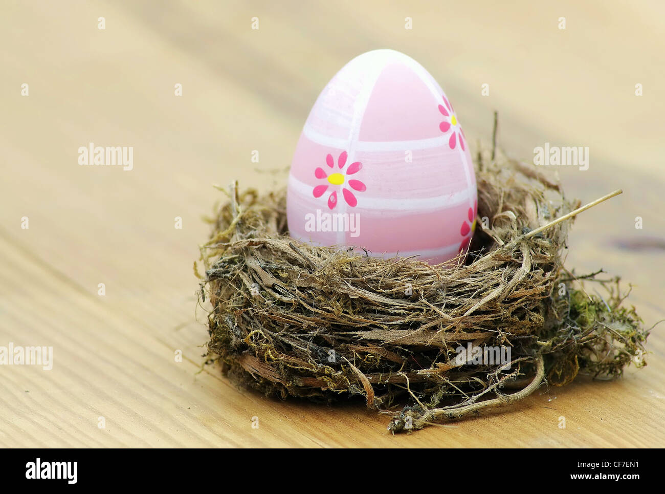 Beautiful eggs in the nest in wood background Stock Photo