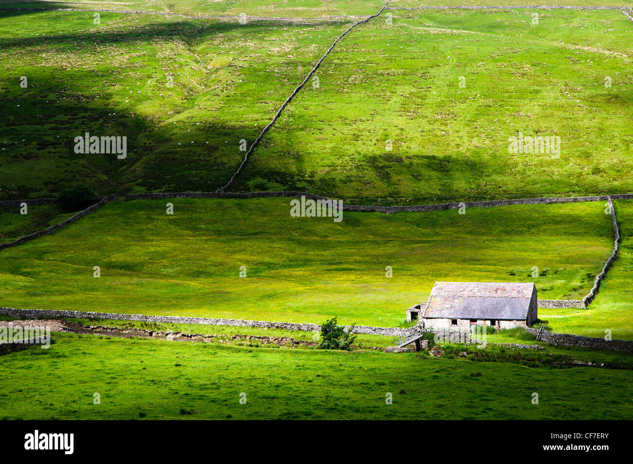 High angle view of farmhouse in agricultural field, Yorkshire-Dales region in North-England, Great Britain, Europe Stock Photo