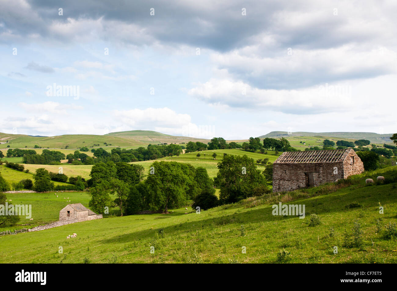 Residential structures in agricultural farmland, Yorkshire-Dales region in North-England, Great Britain, Europe Stock Photo