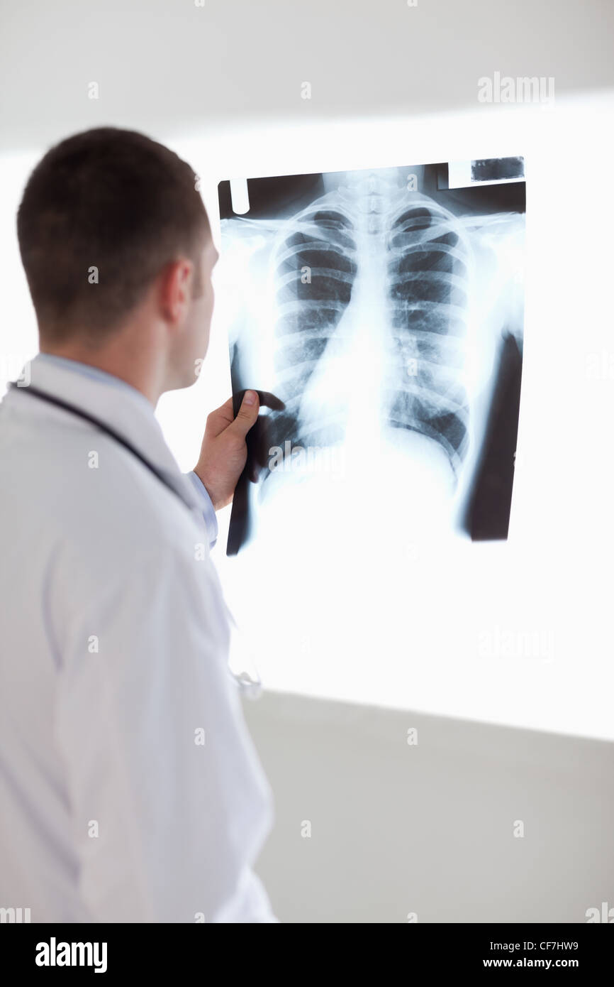 Doctor holding xray against light Stock Photo Alamy