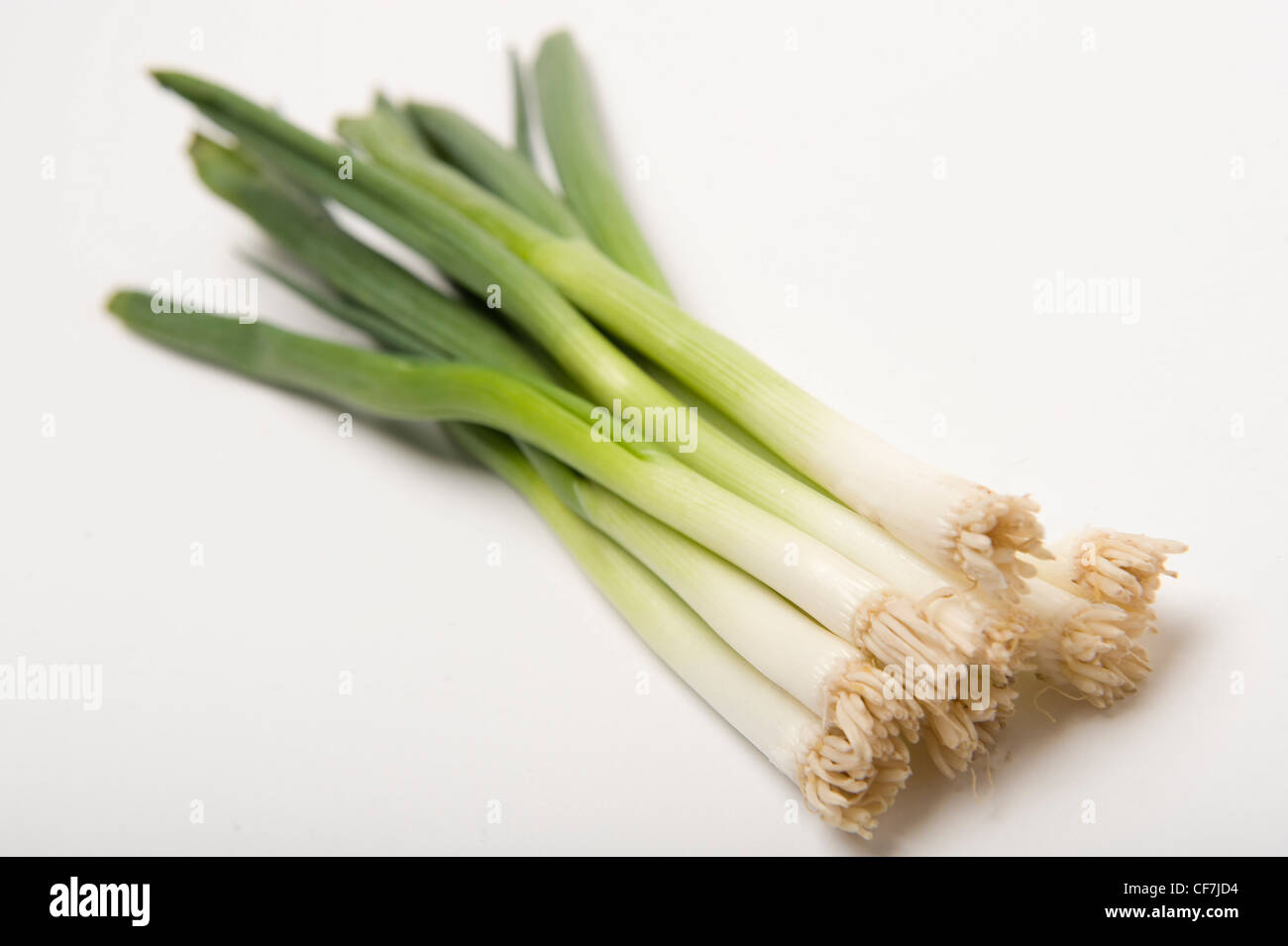 Food image of white onions hi-res stock photography and images - Alamy