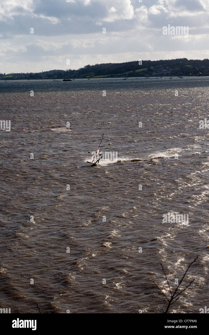 windsurfing on river exe, active, activity, adrenalin, adult, anonymous, blue, board, boardsailing, carving, fast, fun, gibe, Stock Photo