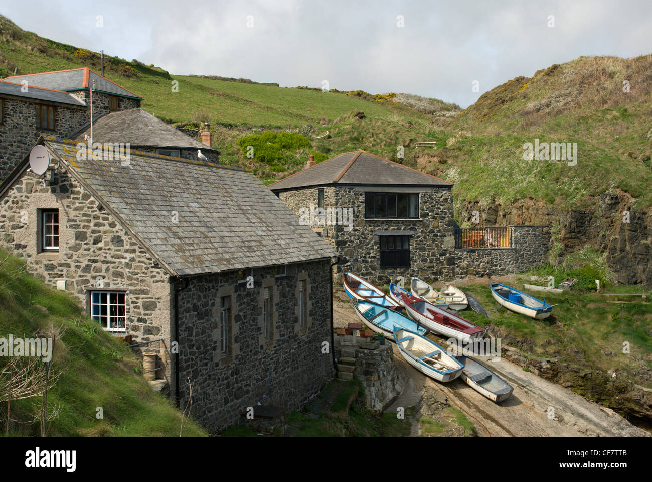 Traditional fishery buildings of Church Cove including courtyard fish cellars, capstan house, boat store and house. Stock Photo