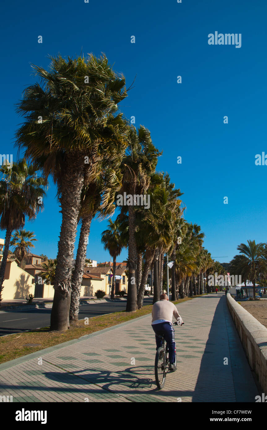 Paseo Maritimo de Pablo Ruiz Picasso seaside promenade central Malaga Andalusia Spain Europe Stock Photo