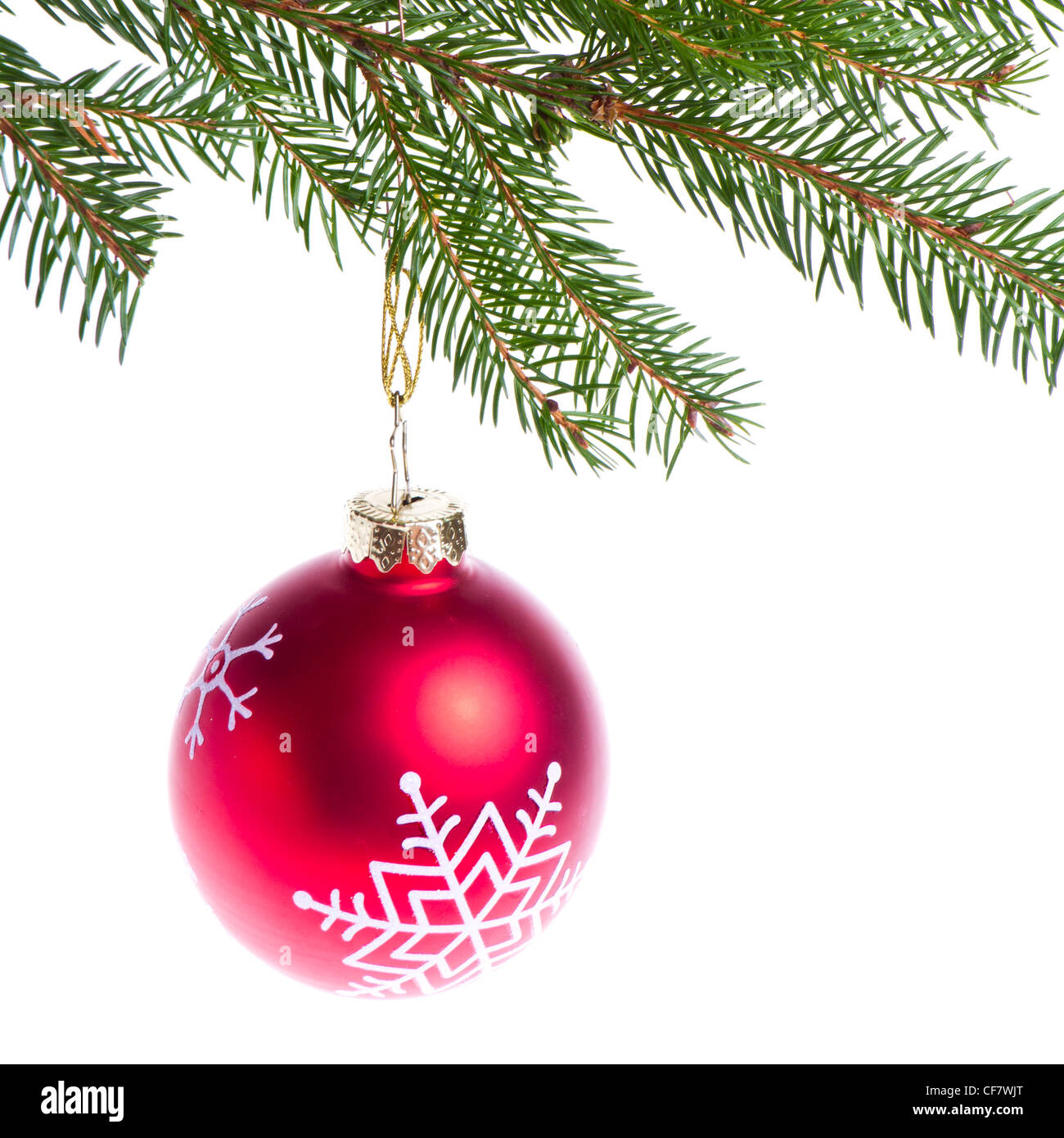 red christmas tree ball hanging from spruce isolated on white ...