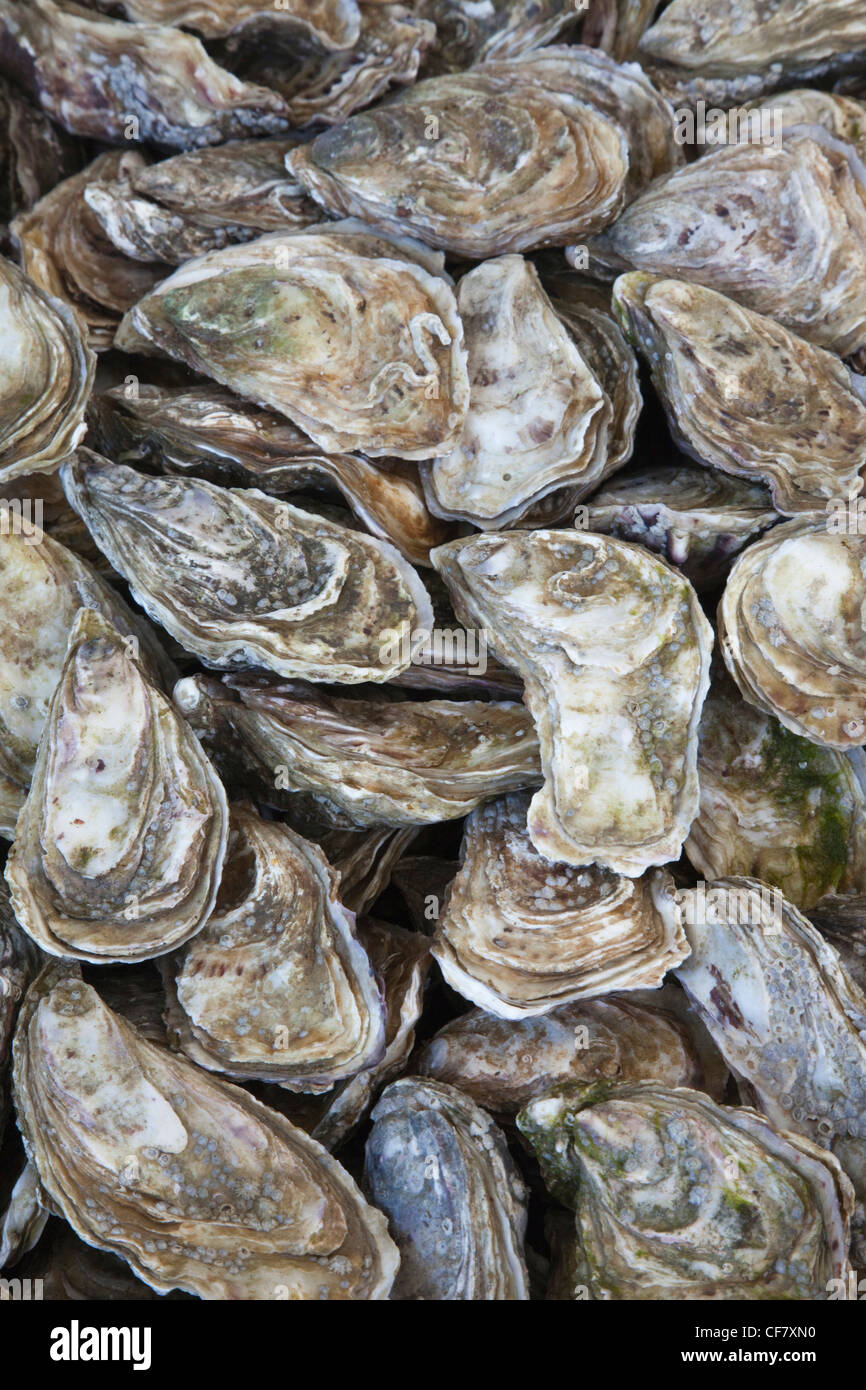 Europe, France, Normandy, Honfleur, Market, Markets, Street Market