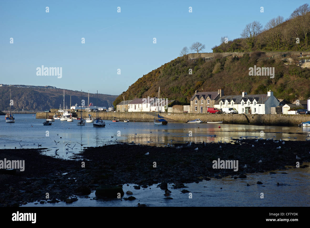 Lower Harbour, Fishguard, West Wales, UK Stock Photo Alamy