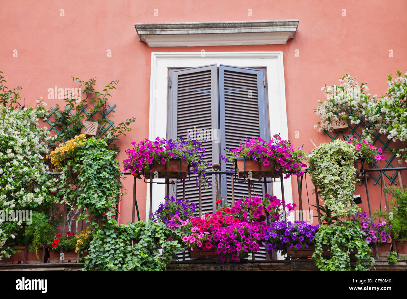 Europe Italy Rome Apartment Flats Housing Balcony Flowers Europe Italy Rome Apartment Flats Housing Balcony Flowers