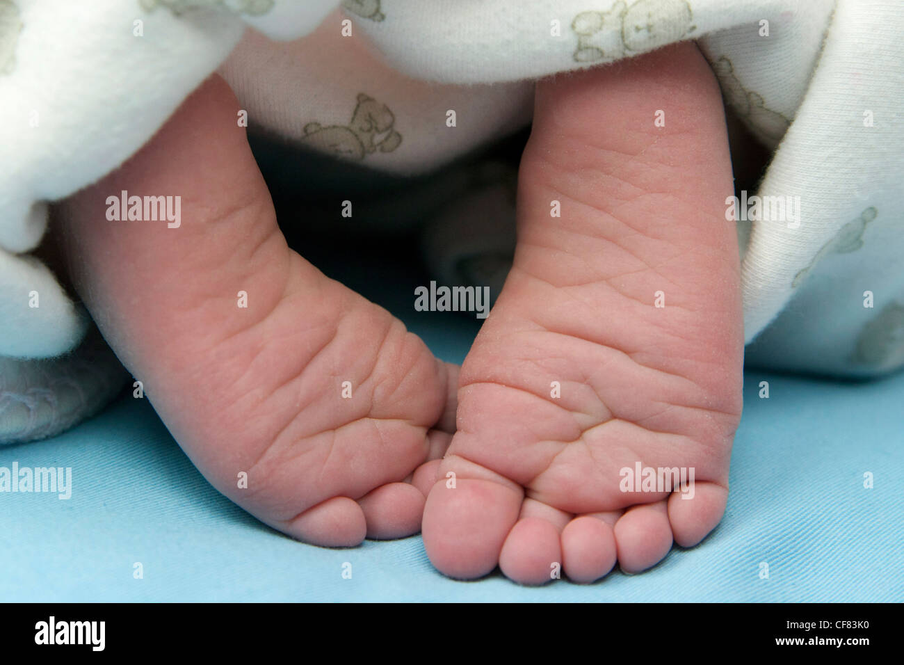 little baby feet Stock Photo - Alamy