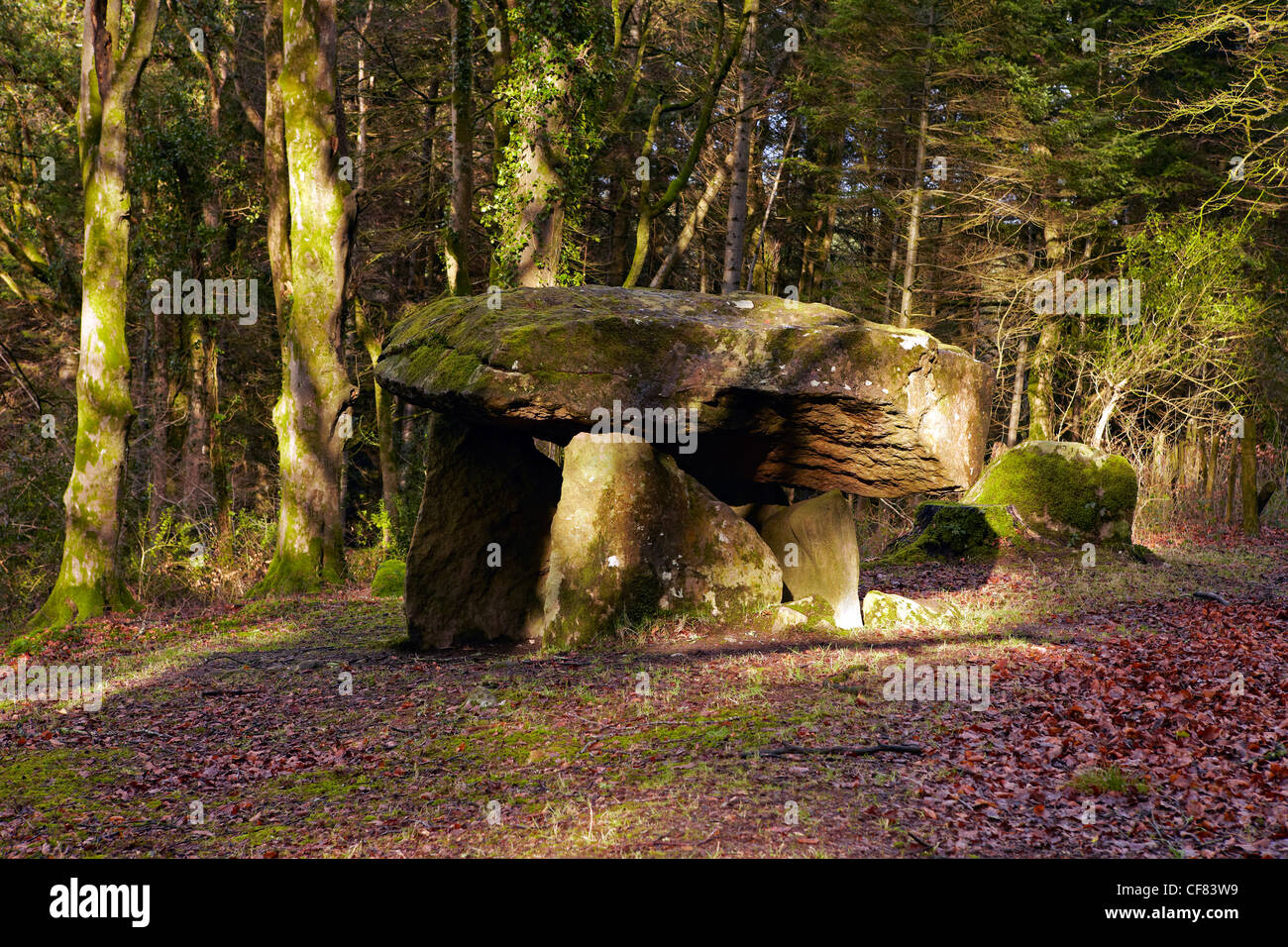 Gwal y Filiast Neolithic Tomb, Carmarthenshire, West Wales, UK Stock Photo