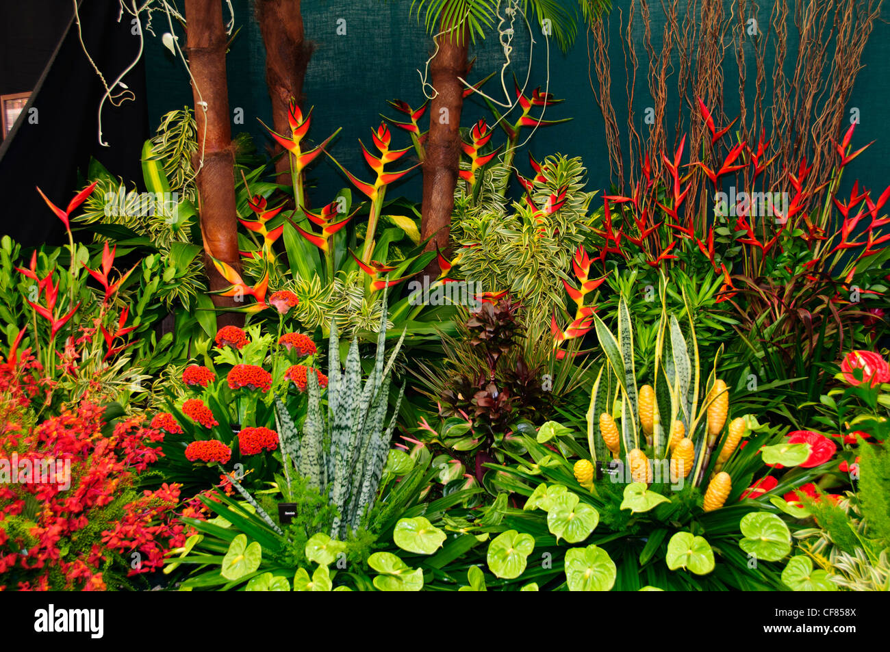 The Trinidad & Tobago Stand,The RHS Chelsea Flower Show,formally known