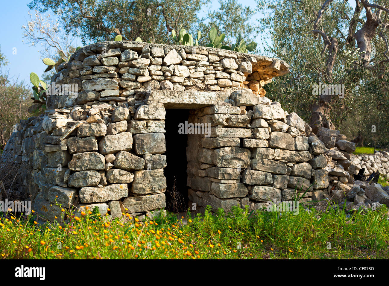 Trullo, a Stone Building, in Apulia Country, Italy Stock Photo