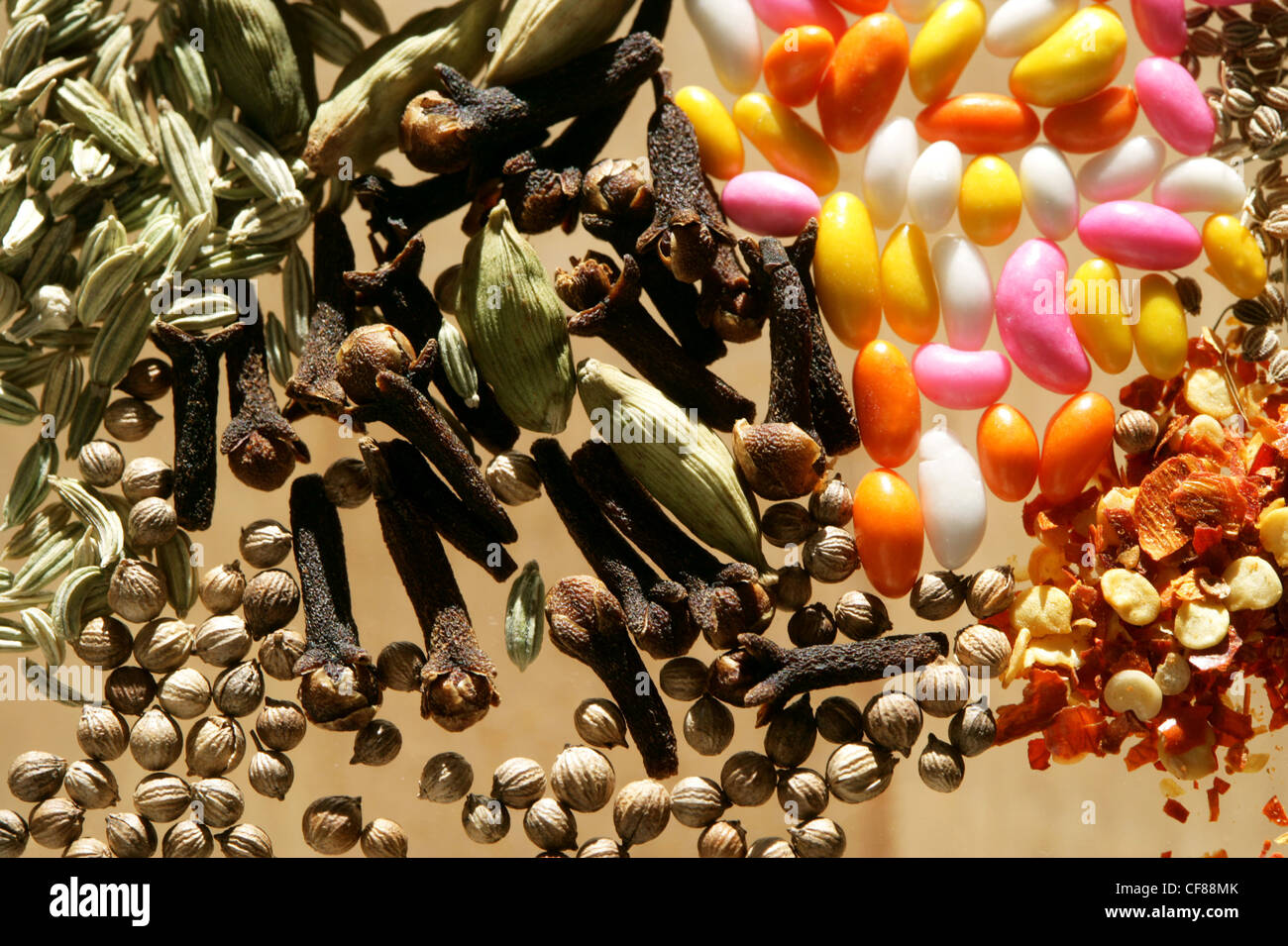 A still life of indian spices including aniseeds, coriander seeds