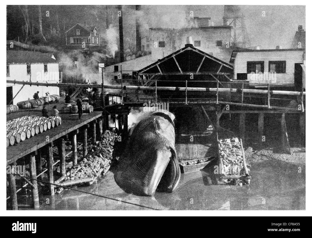 1926 Whaling station on Vancouver Island British Columbia, Canada Stock Photo