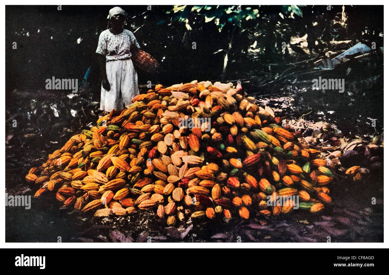 Jamaican art hires stock photography and images Alamy