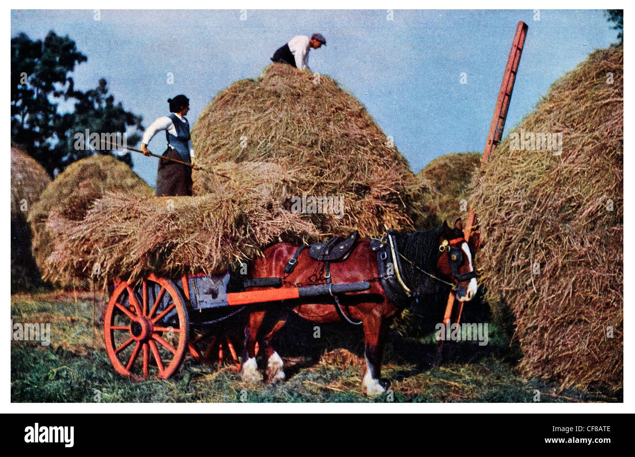 Old hay wagon hires stock photography and images Alamy