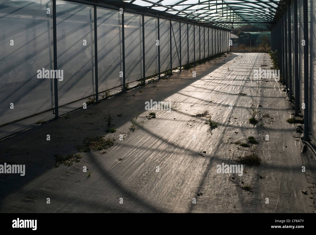 Abandoned greenhouse hi-res stock photography and images - Alamy
