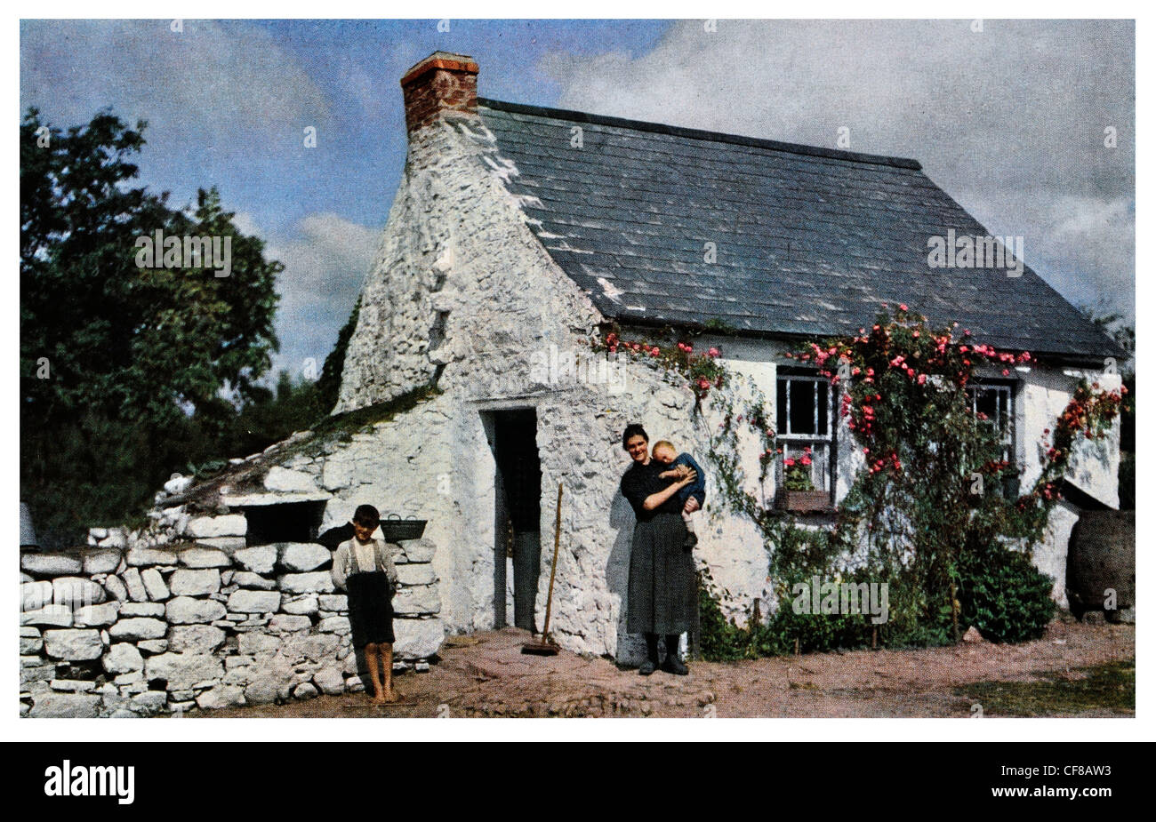 1927 Rose clad cottage near Cork Ireland Stock Photo