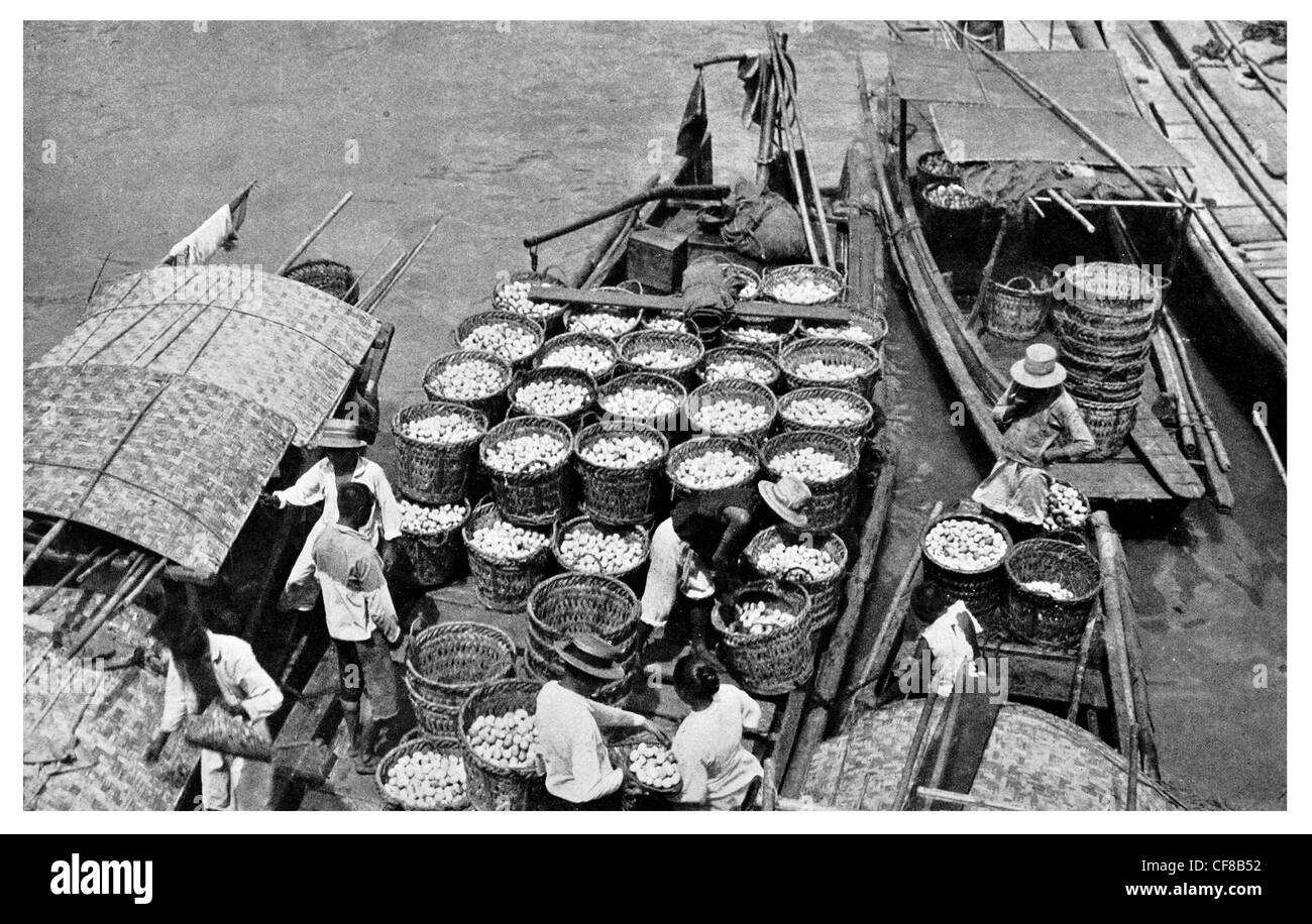 1927 Fleet Egg Boats Shanghai Poultry Chicken eggs Stock Photo