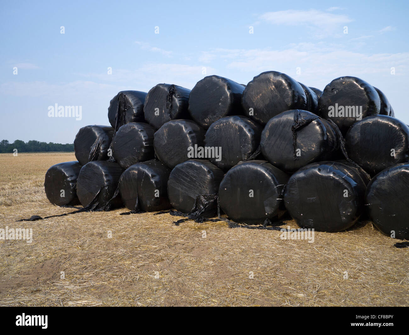 Bales Wrapped in Black Plastic on Farm Stock Photo