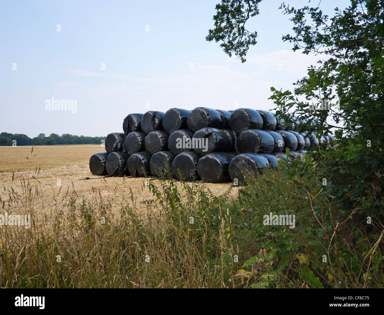 Bales Wrapped in Black Plastic on Farm Stock Photo
