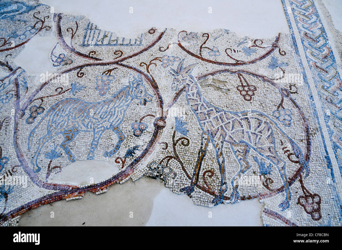 Israel, West Bank, The Good Samaritan Museum houses a collection of mosaics from the Holyland Stock Photo